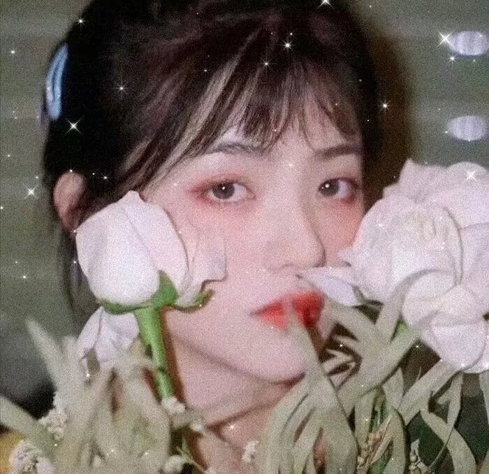 月上海